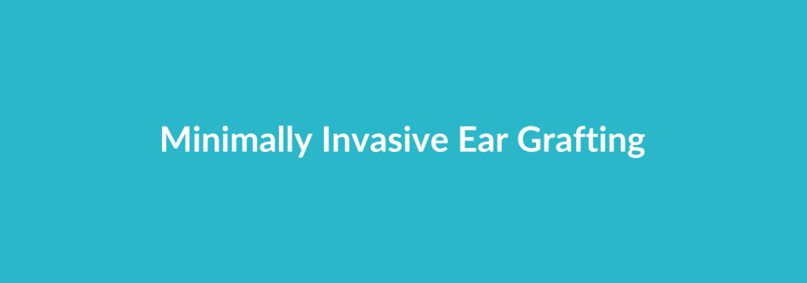 Complete Guide to Minimally Invasive Ear Grafting | Top Surgeons & Options