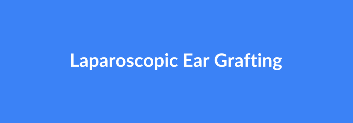 Complete Guide to Laparoscopic Ear Grafting | Top Surgeons & Options