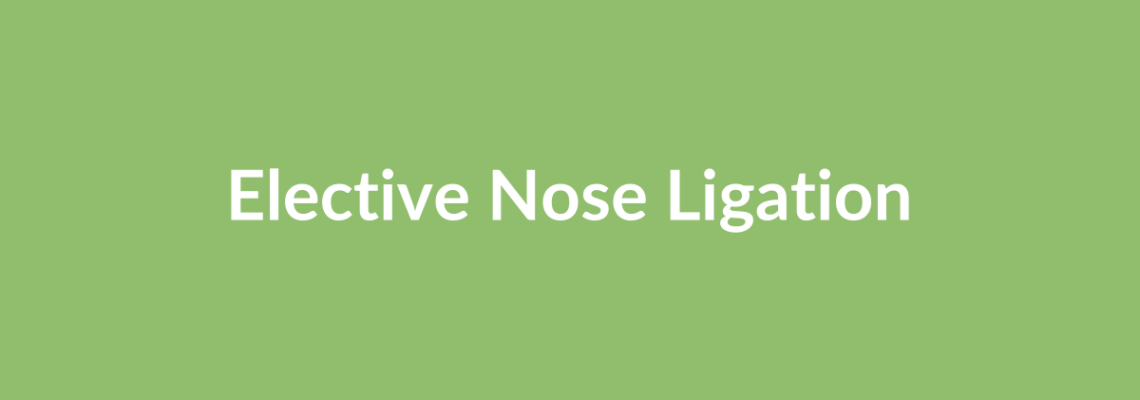 Complete Guide to Elective Nose Ligation | Top Surgeons & Options